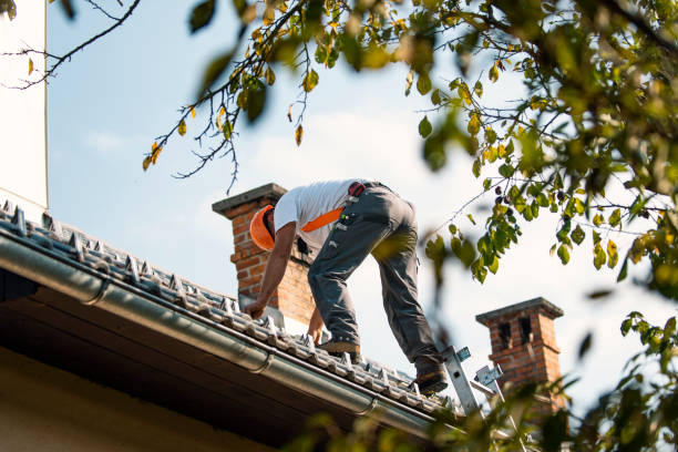 Best Roof Leak Repair  in Scottsdale, AZ